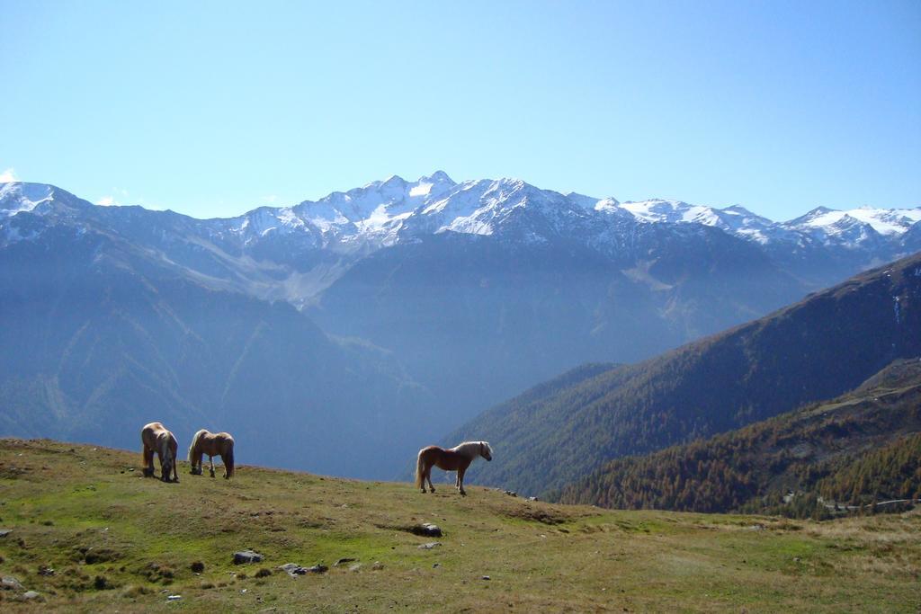 Landhaus Bachler Brixen im Thale Kültér fotó