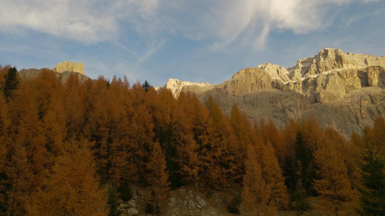 Landhaus Bachler Brixen im Thale Kültér fotó
